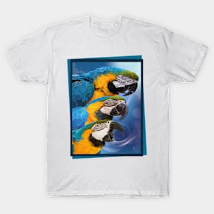 blue-yellow macaw T-Shirt